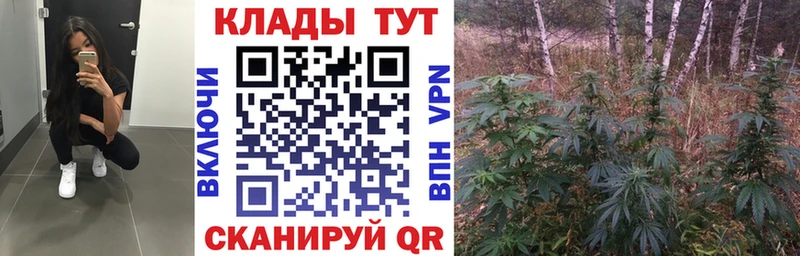 Виды наркоты Плёс Каннабис  КОКАИН  Гашиш  A PVP  Меф мяу мяу 